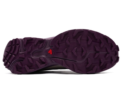 Salomon XT-6 in Paloma / Winter Bloom