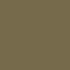 Etnies Locut Shoes - Olive/White