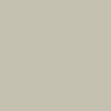 Etnies Marana OG Shoes - Tan